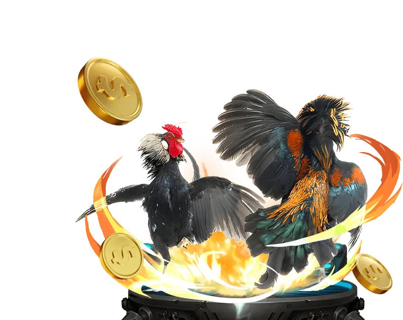 Cá cược Thể Thao bj888